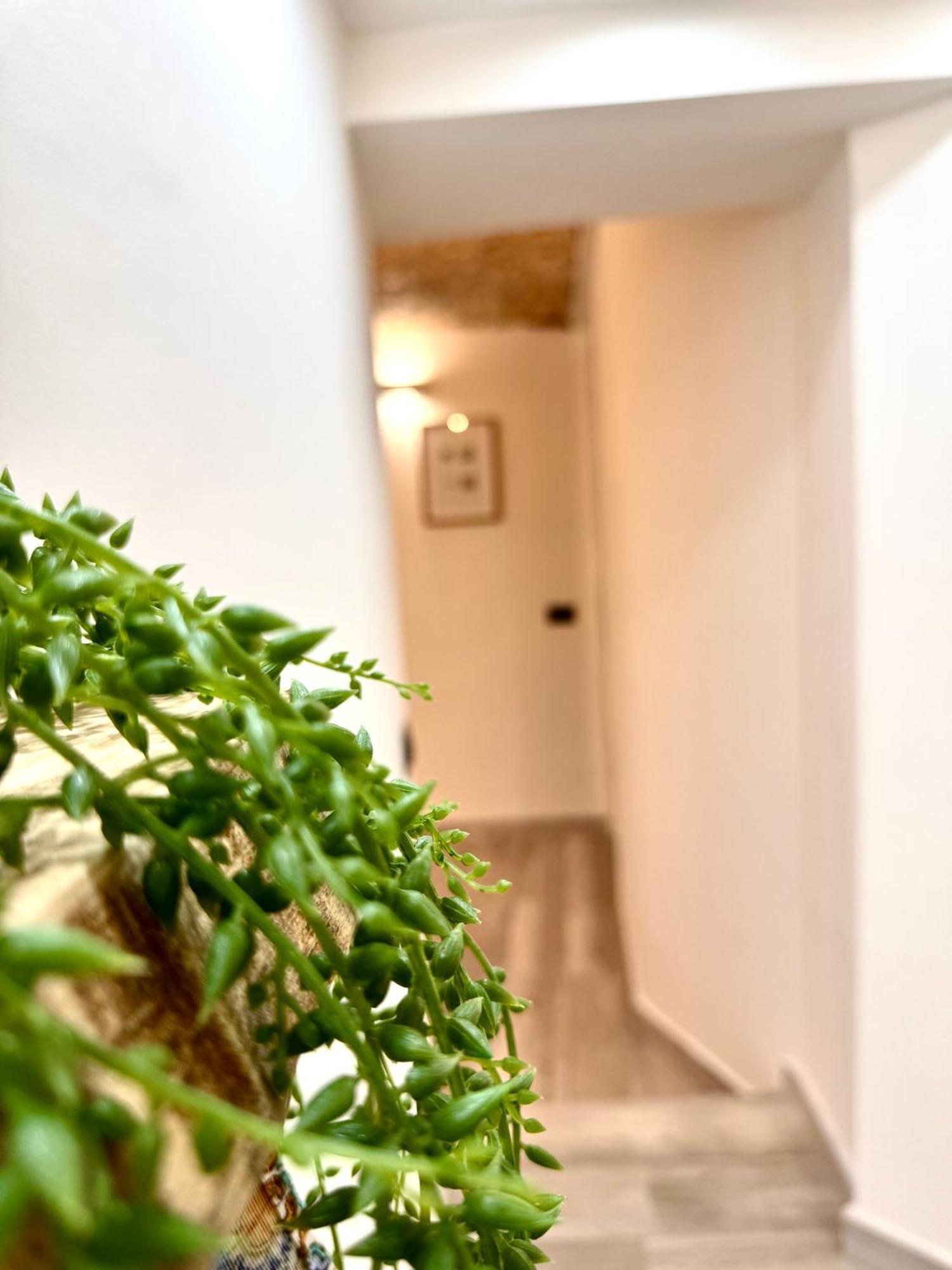 Stationsuite N5 Spa Privata Idromassaggio & Wifi Zona Centrale Vicino Alla Stazione ปาแลร์โม ภายนอก รูปภาพ